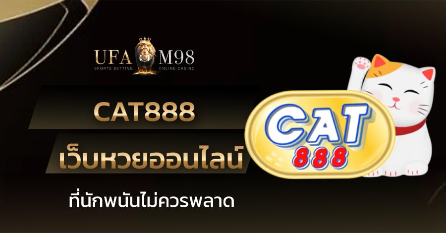 cat888