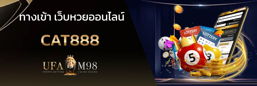 cat888