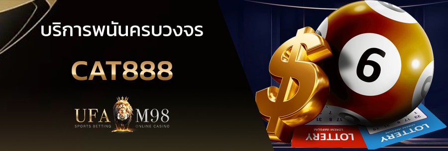 cat888