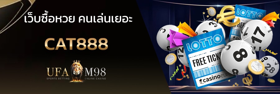 cat888